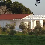 White Douneika (Amaliada)