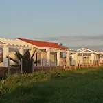 White Douneika (Amaliada)
