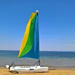 White * Douneika (Amaliada)