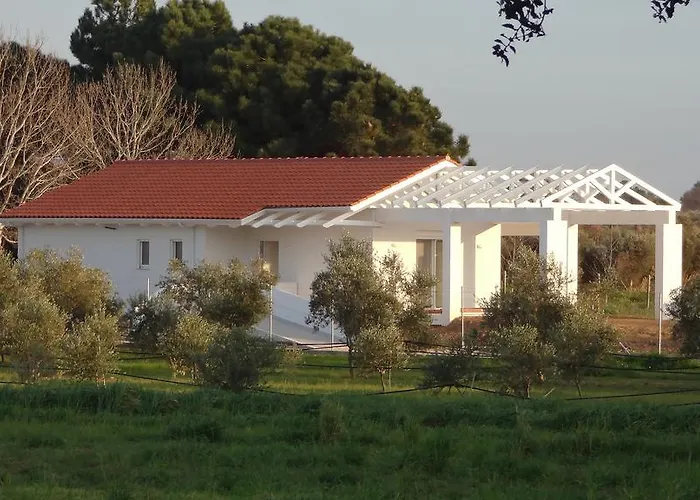 White Douneika (Amaliada)