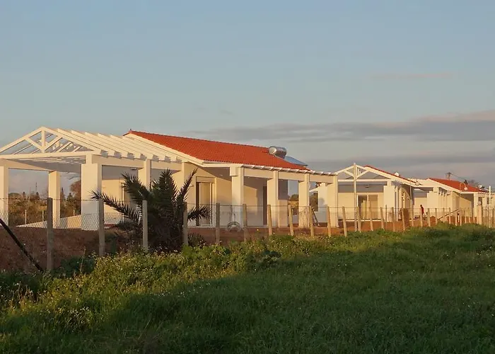 White Douneika (Amaliada)