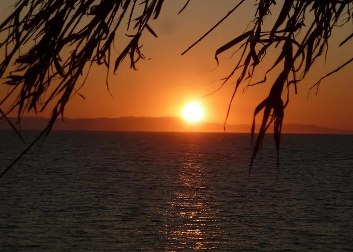 White Douneika (Amaliada)