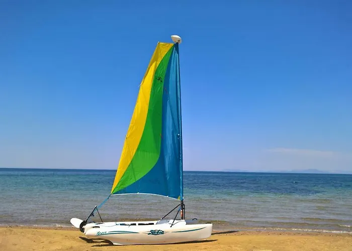 White * Douneika (Amaliada)